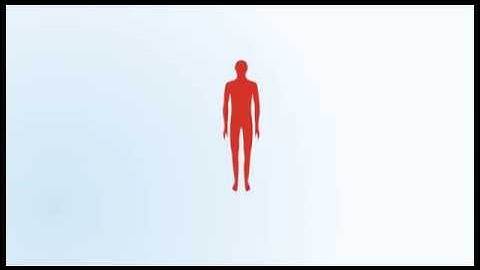 Flexshield Noise Safety