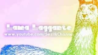 Rohn È Y Porco Il Lama