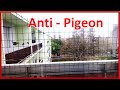 Astuces anti  pigeon