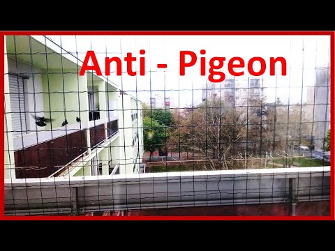 Répulsif naturel pour pigeons : filet Anti-pigeon pour balcon et toit