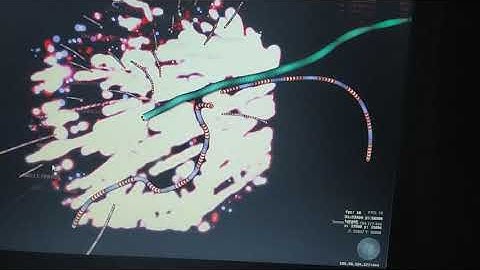 Slither.io bot hack 2020 / Os Skeletinhos dominam pô