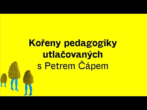 Video: Jaké může být dekódování pedagogických pracovníků v různých činnostech