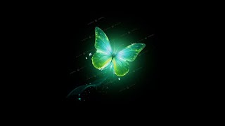 Butterfly lighting effect black screen video effect | butterfly flying black screen video screenshot 5