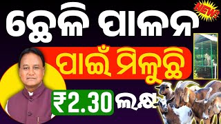 Goat farming in odisha/Goat farming scheme in odisha/Goat farming screenshot 4