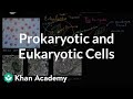 Prokaryotic and eukaryotic cells | Biology | Khan Academy