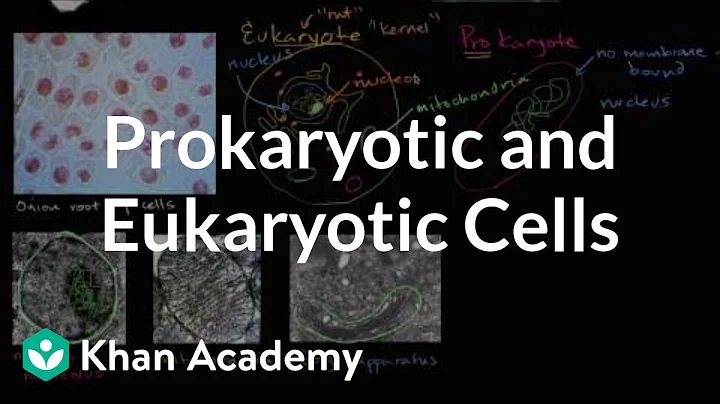 Prokaryotic and eukaryotic cells | Biology | Khan Academy - DayDayNews