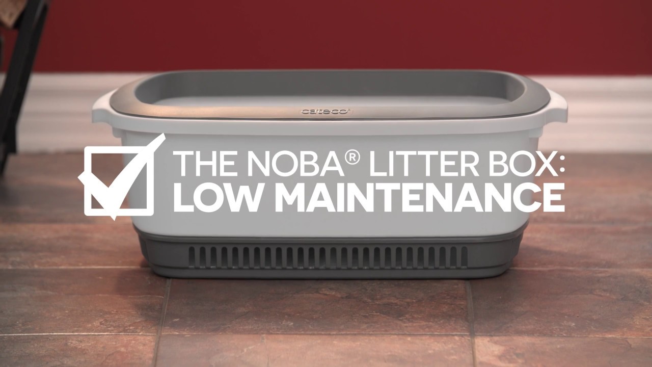 low maintenance litter box