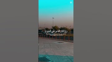 سورة العنكبوت (اكتب شيء تؤجر عليه)