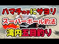 ハマチの子にサヨリ、スーパーボールを２つ使った仕掛けと釣り方で、湾内日中五目釣り（仕掛け解説あり）