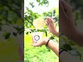 🥥 Cremosito de Coco