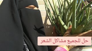 حل سحري للجميع مشاكل الشعر الوصفه اللي جابت ١٠ مليون?????