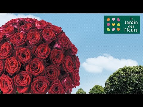 Jardin des fleurs - Saint Valentin - HTML5