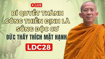 LDC28 | Bí quyết thành công thiền định là sống độc cư - Đức Thầy Thích Mật Hạnh (11/10/2025) Buổi 28
