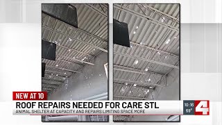 Roof damage at St. Louis animal shelter leaves dogs with anxiety, help needed