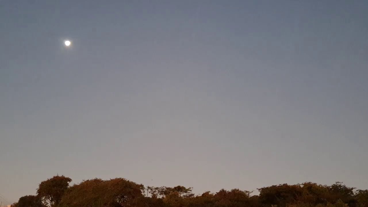 21st Century Schizoid Band (Jakko, Collins, McDonald, Wallace & P. Giles), Band Ferrara (2003)