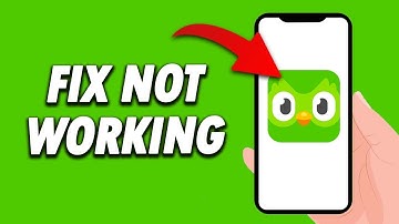 How To Fix Duolingo App Not Working 2024
