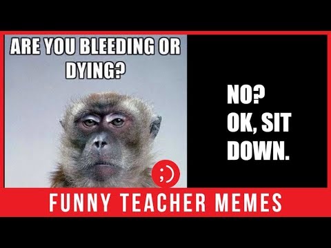 top-dank-teacher-memes-are-funniest-at-back-to-school-time