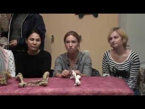 Видеоотзывы о семинаре 