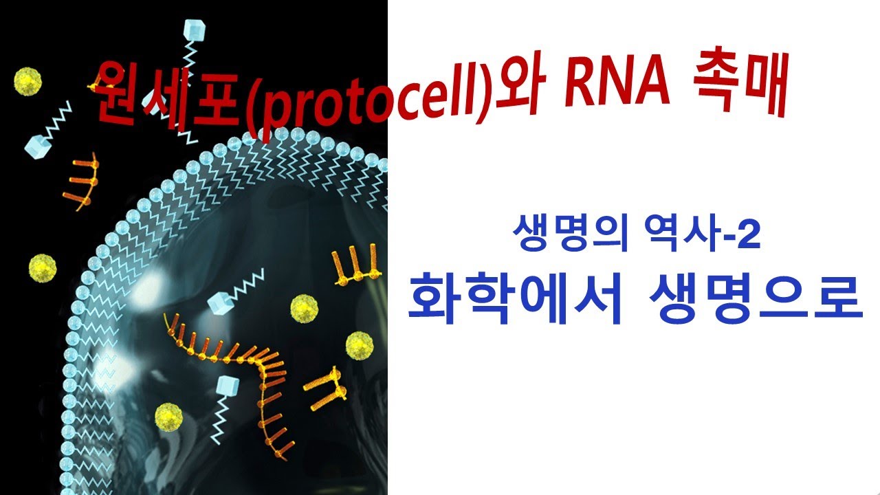 생명의 역사2-화학에서 생명으로 