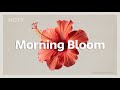 Morning Bloom | Chill House for a Positive Morning Vibe