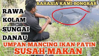 Wild Catfish Bait That Is Difficult to Eat in Ponds, Rivers, Lakes, and Swamps