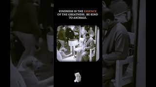 Be kind to animals  #kindnessiscool #kindness #animals #reaction #pets #cute #aura #shorts #animals