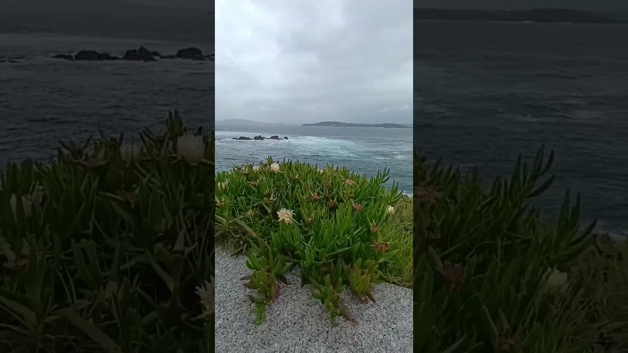 🇪🇸 PASEO SERPENT - A CORUÑA