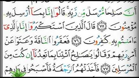 مصحف التجويد صفحة 160 ابراهيم الأخضر 🕋