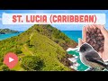 Best Things to Do in St. Lucia (Caribbean)