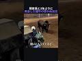飼育員と3年ぶりに再会した雄牛の思わぬ反応