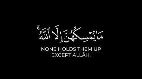 ألم يروا إلى الطير مسخرات _ ياسر الدوسري شاشة سوداء - سورة النحل تلاوات الدوسري القديم(4.mp4