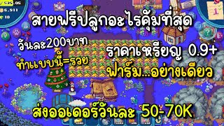 Pixels สายฟรีปลูกอะไรคุ้ม เทคนิคการปั้มcoin 1วัน50K+ สำหรับสายVIP