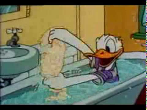 Donald Duck Mickey Mouse And Goofy Camping Trip Xvid Avi