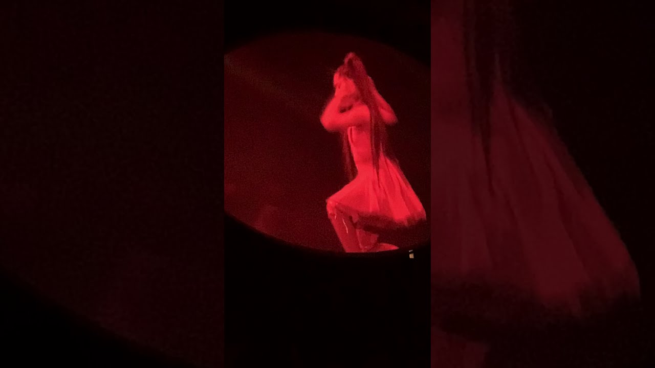 Ariana Grande Bad Idea Live Sweetener Tour Brooklyn 2019