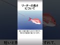 【船釣り】のコツ、【初心者】向け：【リーダー】の長さについて　#shorts