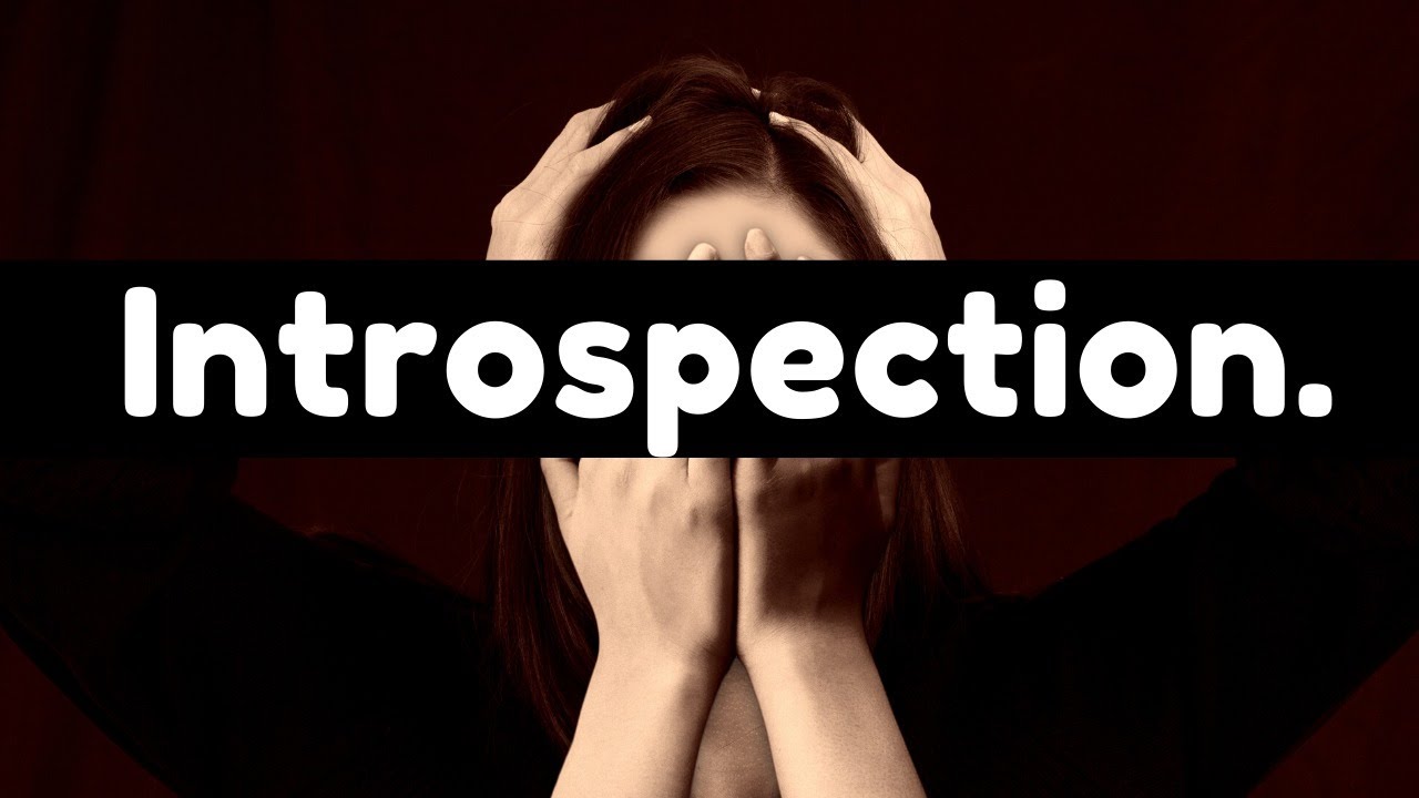 introspection-2-500-words-in-45-minutes-i-scream-for-you-new-book
