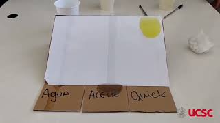 Experimento mecánica de fluidos: Viscosidad agua-aceite-quick (Ingeniería Civil Geológica UCSC)
