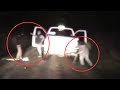 Archive: K9 Saves Deputy Life During Traffic Stop. November 02, 2014.