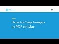 How to Crop Images in PDF on Mac