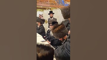Thumbnail of מרטיט!! תנה בני ליבך בחתונת אלי שפריי