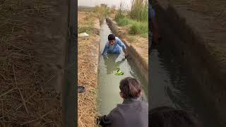 Catch Video fishing 😱 #fish #catchingfish #viralvideo