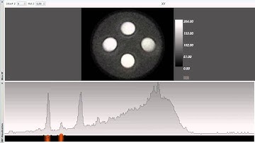 InSpectr: Multi-Modal Exploration, Visualization, and Analysis of Spectral Data