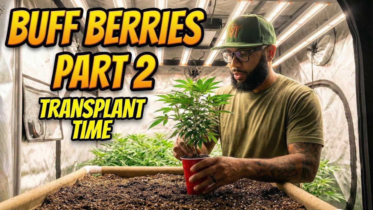 Transplant Clones Without Killing Them | When & How