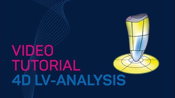 4D LV-ANALYSIS Video Tutorial #TTA2.30