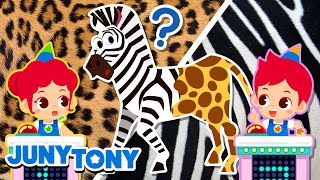 Animal Patterns Quiz Show | Guess the Animal | Learn Animals | Animal Songs | JunyTony