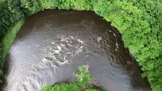 Black Hole River