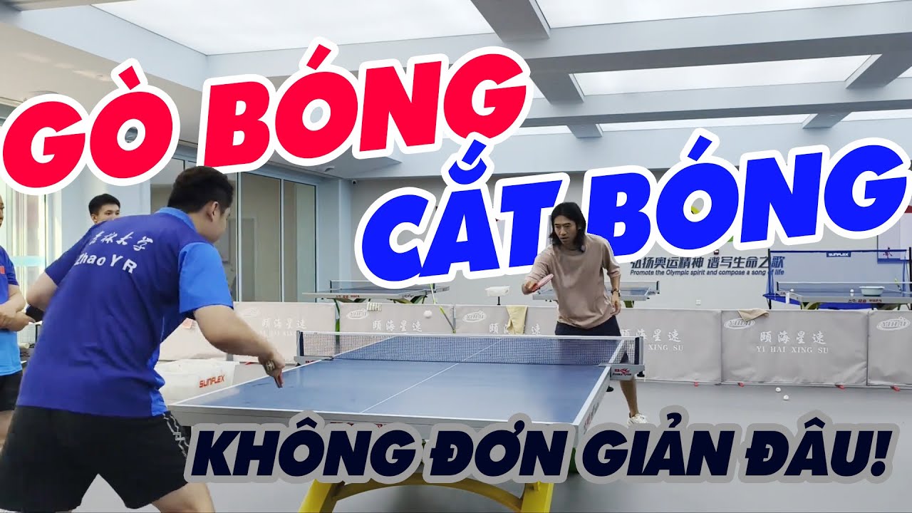 Nhiều Người Chơi Bóng Bàn Coi Thường Kỹ Thuật Gò, Cắt Bóng. Họ Đâu Có Hiểu!