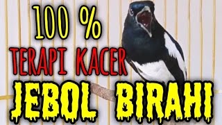 100% AMPUH ! TERAPI KACER JEBOL BIRAHI