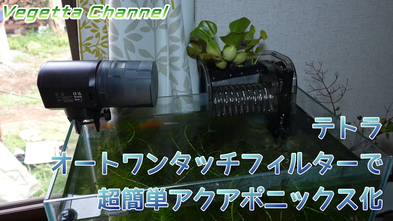 Super Easy Aquaponics Setup with Tetra Auto One-Touch Filter AT-50