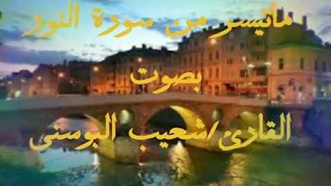 تلاوة مميزه من سورة النور للقارئ/ شعيب بن نهاد البوسني